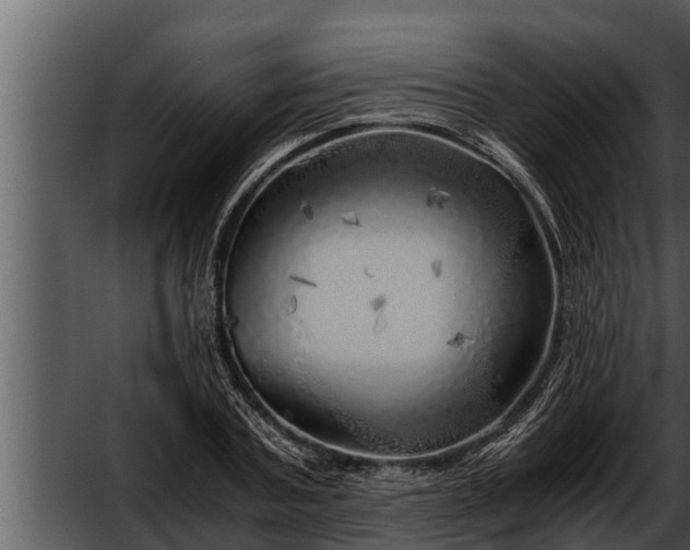 X0000052600787200507160010