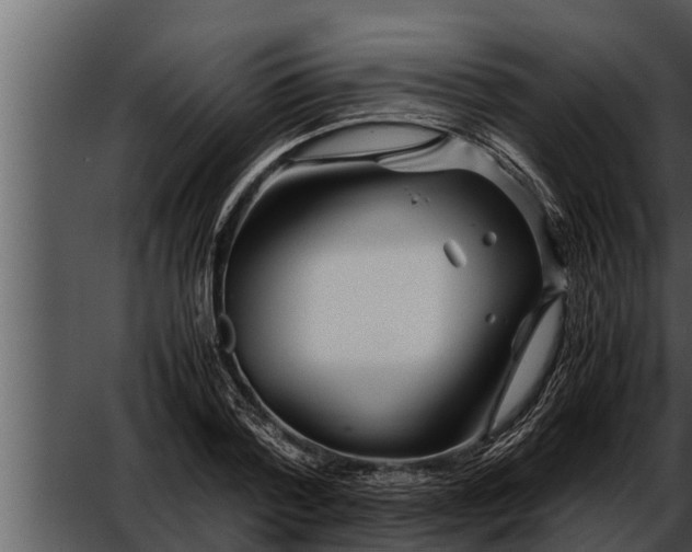 X0000052600788200507160010