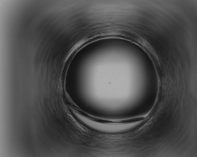 X0000052600789200507160010