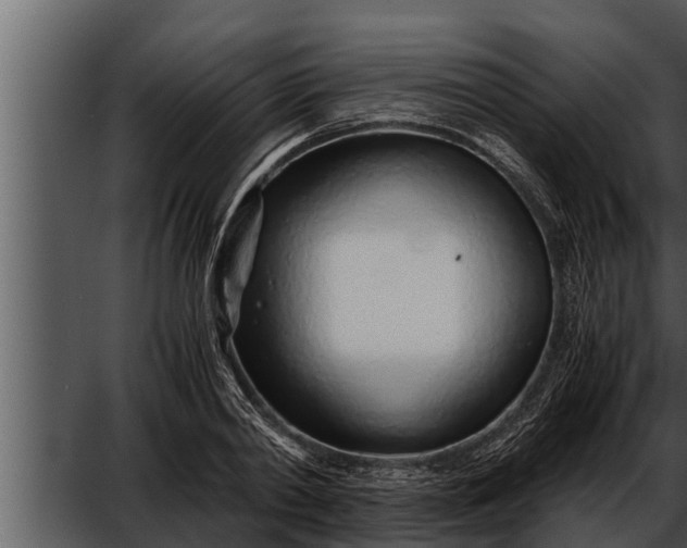 X0000052600790200507160010