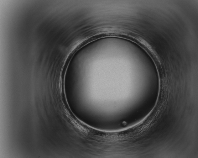 X0000052600791200507160010