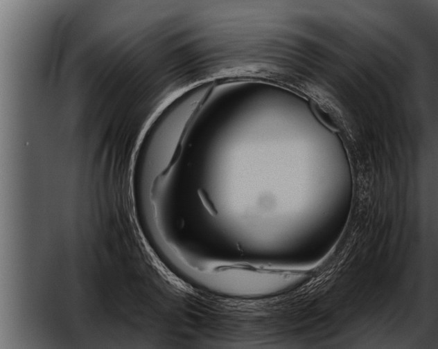 X0000052600792200507160010