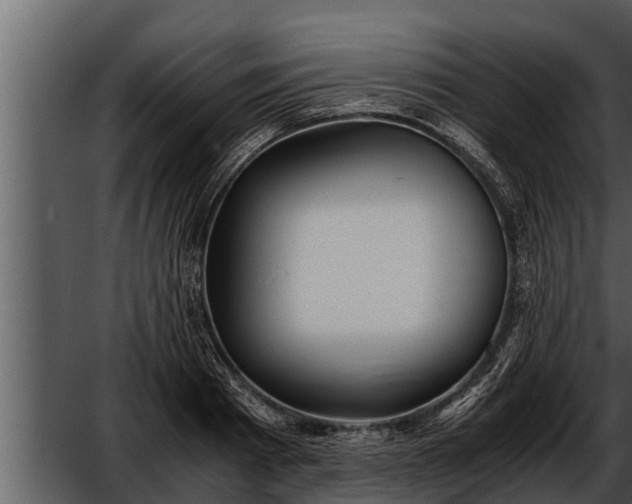 X0000052600793200507160009