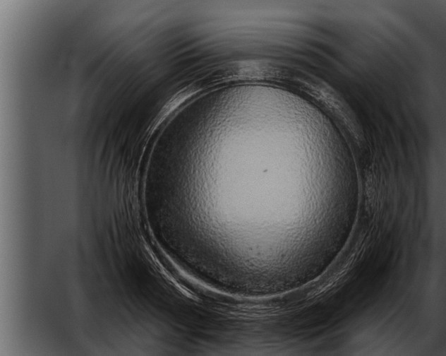 X0000052600794200507160009