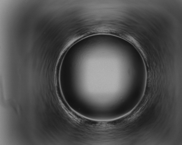 X0000052600795200507160009