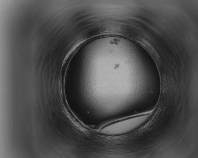 X0000052600796200507160009