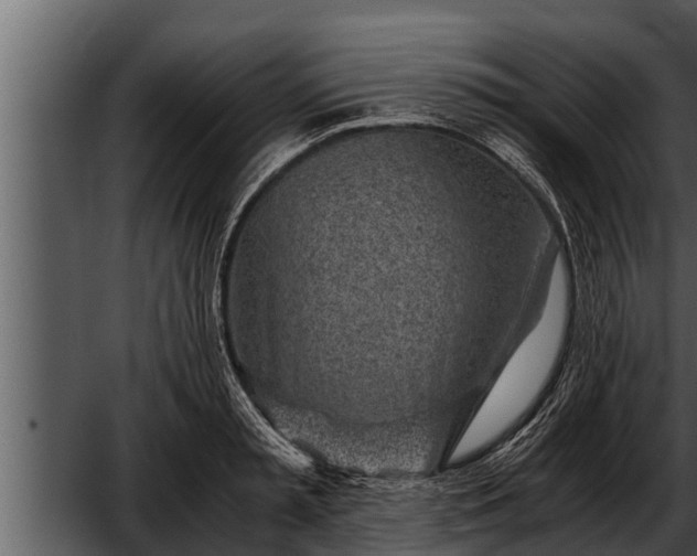 X0000052600797200507160009