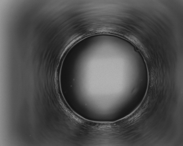 X0000052600798200507160009