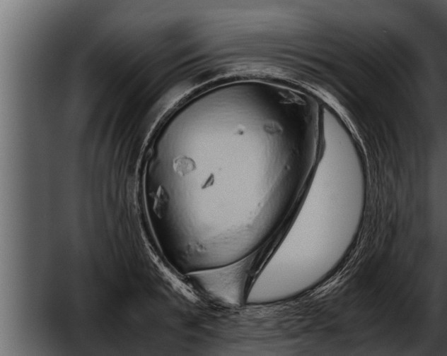 X0000052600799200507160009