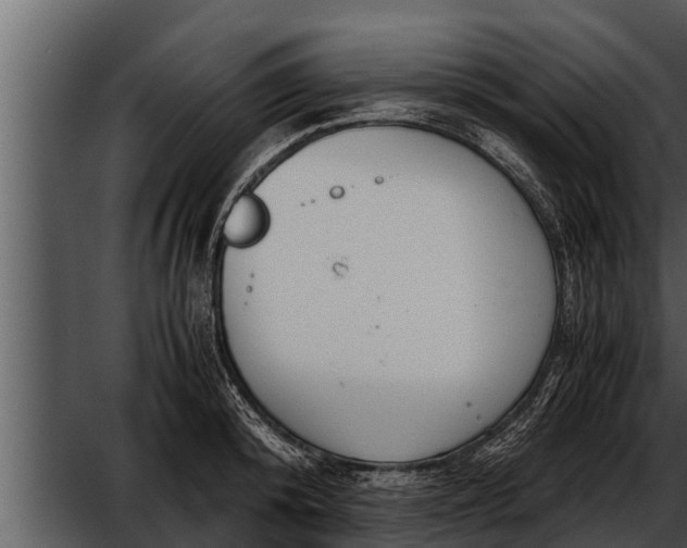 X0000052600800200507160009