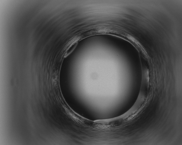 X0000052600801200507160009