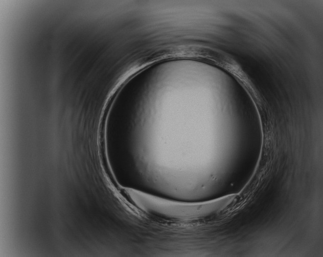 X0000052600803200507160009