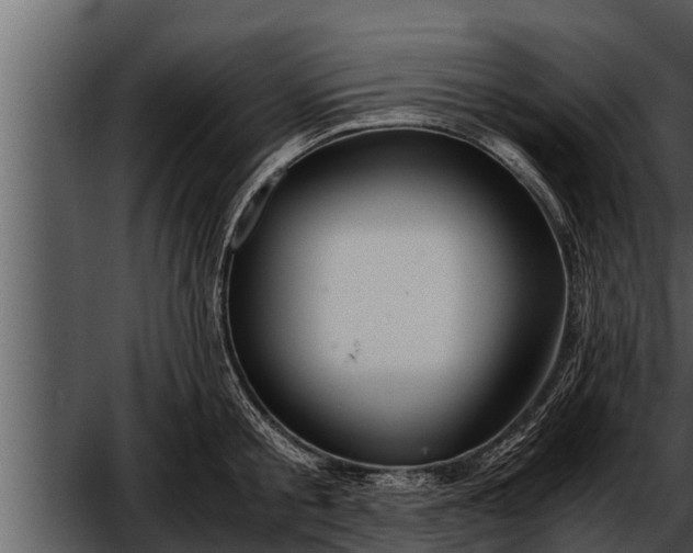 X0000052600805200507160009