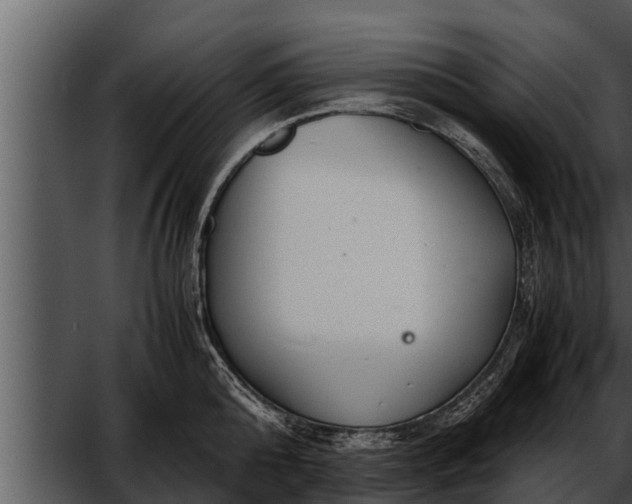 X0000052600808200507160009