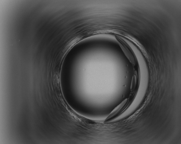 X0000052600809200507160009