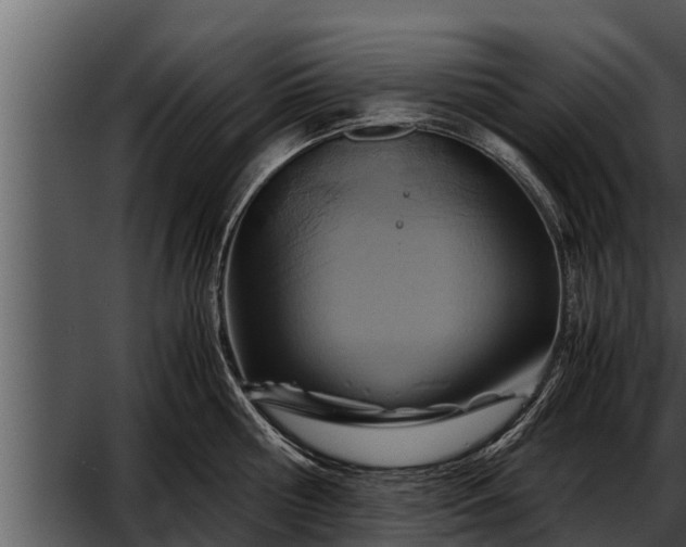 X0000052600810200507160009