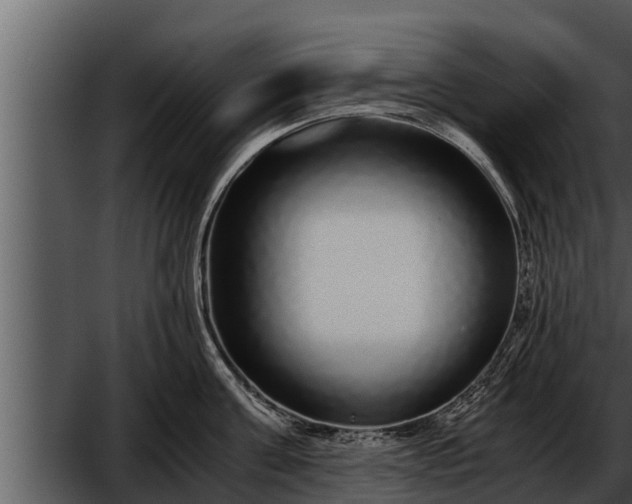 X0000052600811200507160009