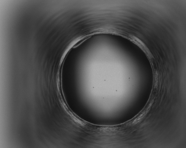 X0000052600812200507160009