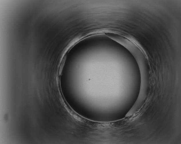 X0000052600813200507160009