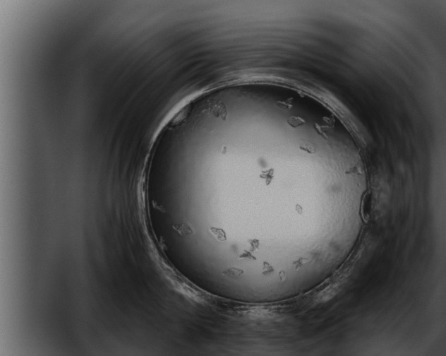 X0000052600814200507160009