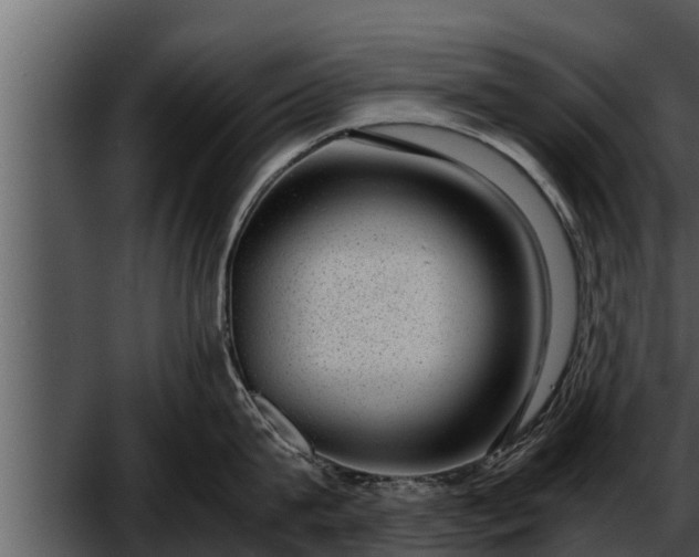 X0000052600815200507160009