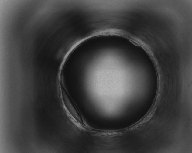 X0000052600816200507160009