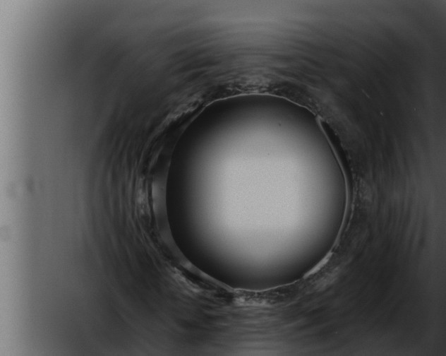 X0000052600818200507160008