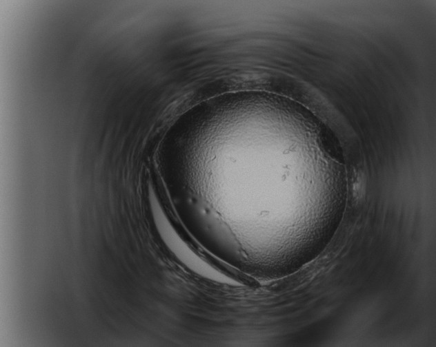 X0000052600819200507160008