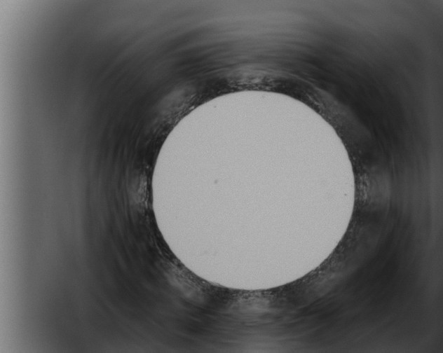 X0000052600820200507160008