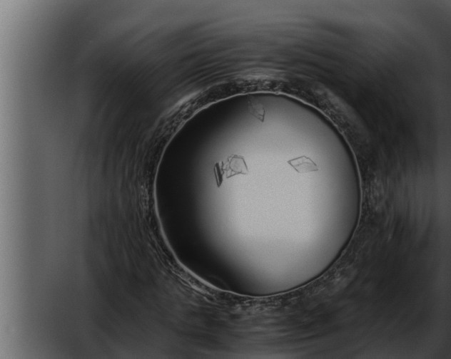 X0000052600821200507160008