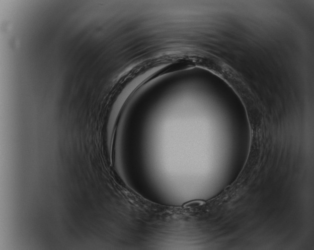 X0000052600822200507160008