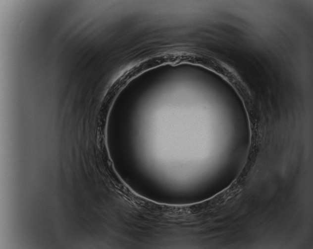 X0000052600823200507160008