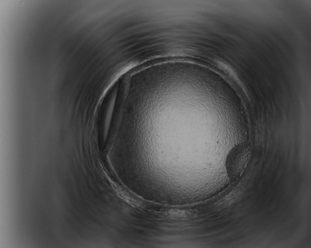 X0000052600827200507160008