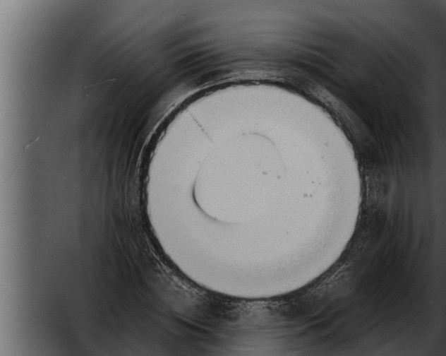 X0000052600828200507160008