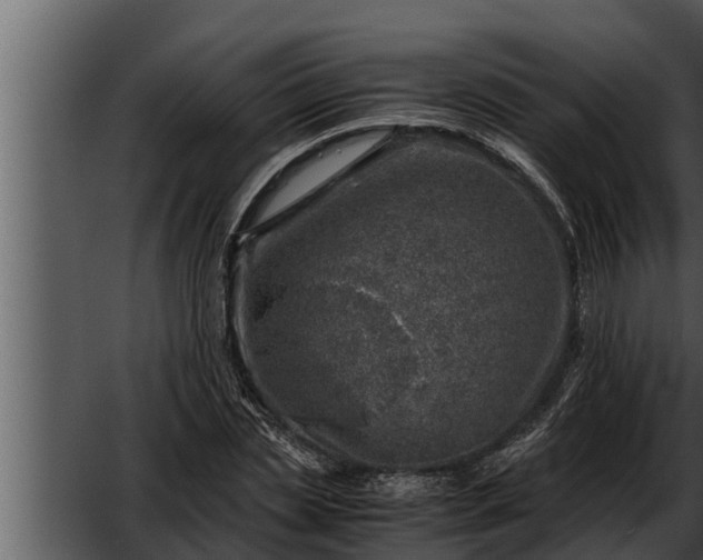 X0000052600829200507160008