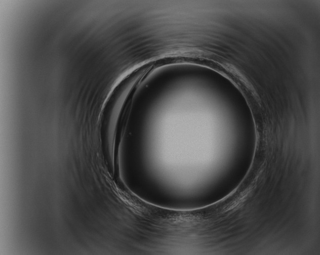 X0000052600830200507160009