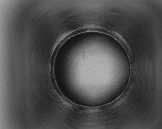 X0000052600831200507160009