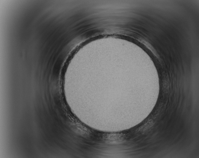 X0000052600832200507160009