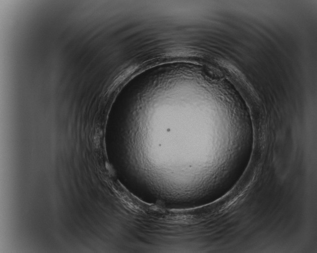 X0000052600833200507160009