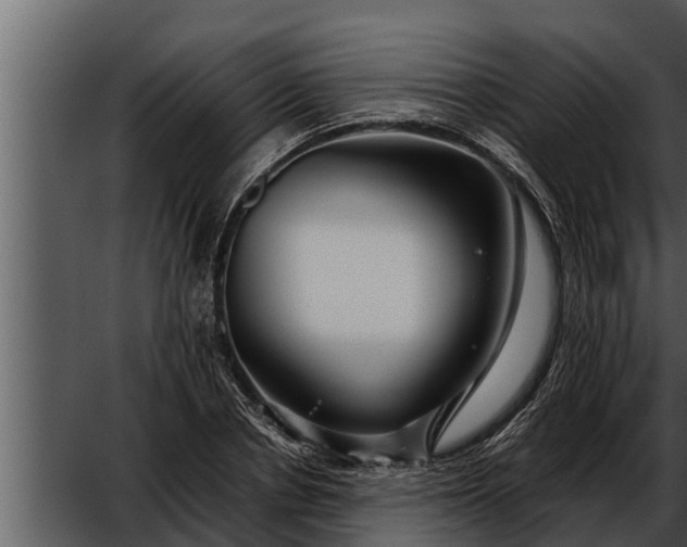 X0000052600834200507160009