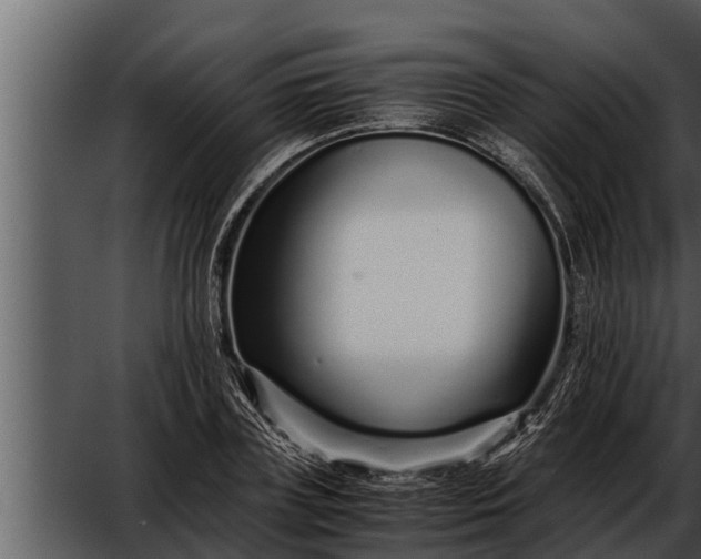 X0000052600835200507160009