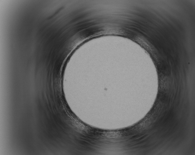 X0000052600836200507160009