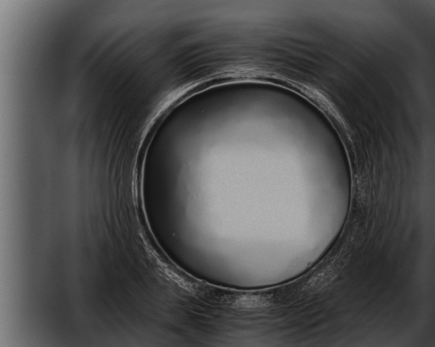 X0000052600839200507160009