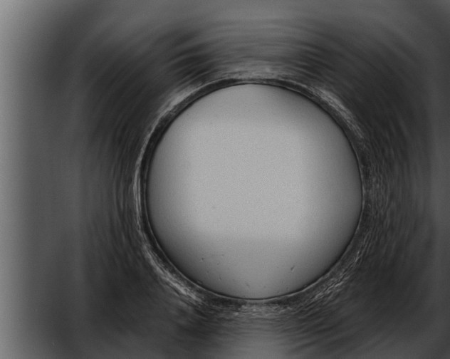 X0000052600840200507160009