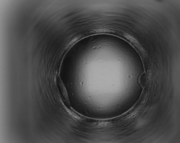 X0000052600841200507160009