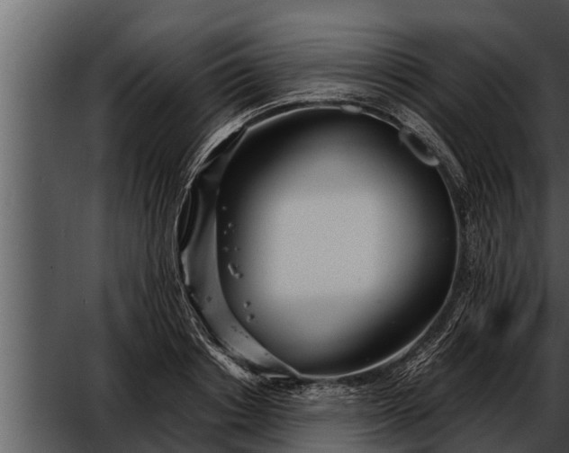 X0000052600842200507160009