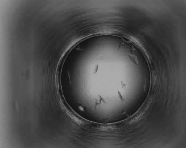 X0000052600843200507160009