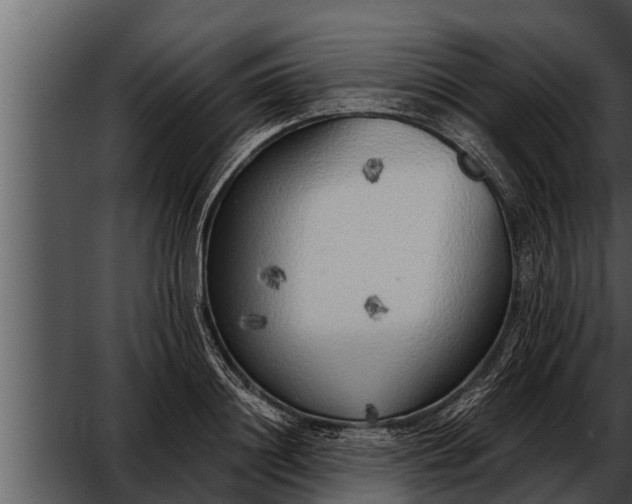 X0000052600844200507160009