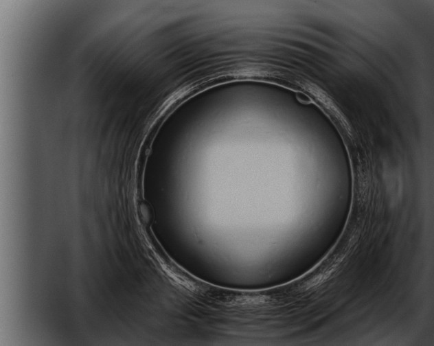 X0000052600845200507160009