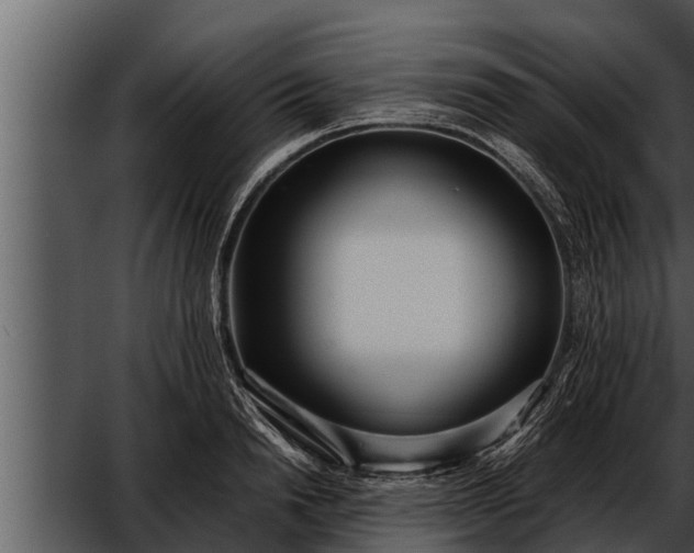 X0000052600846200507160009